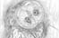 dessin au crayon